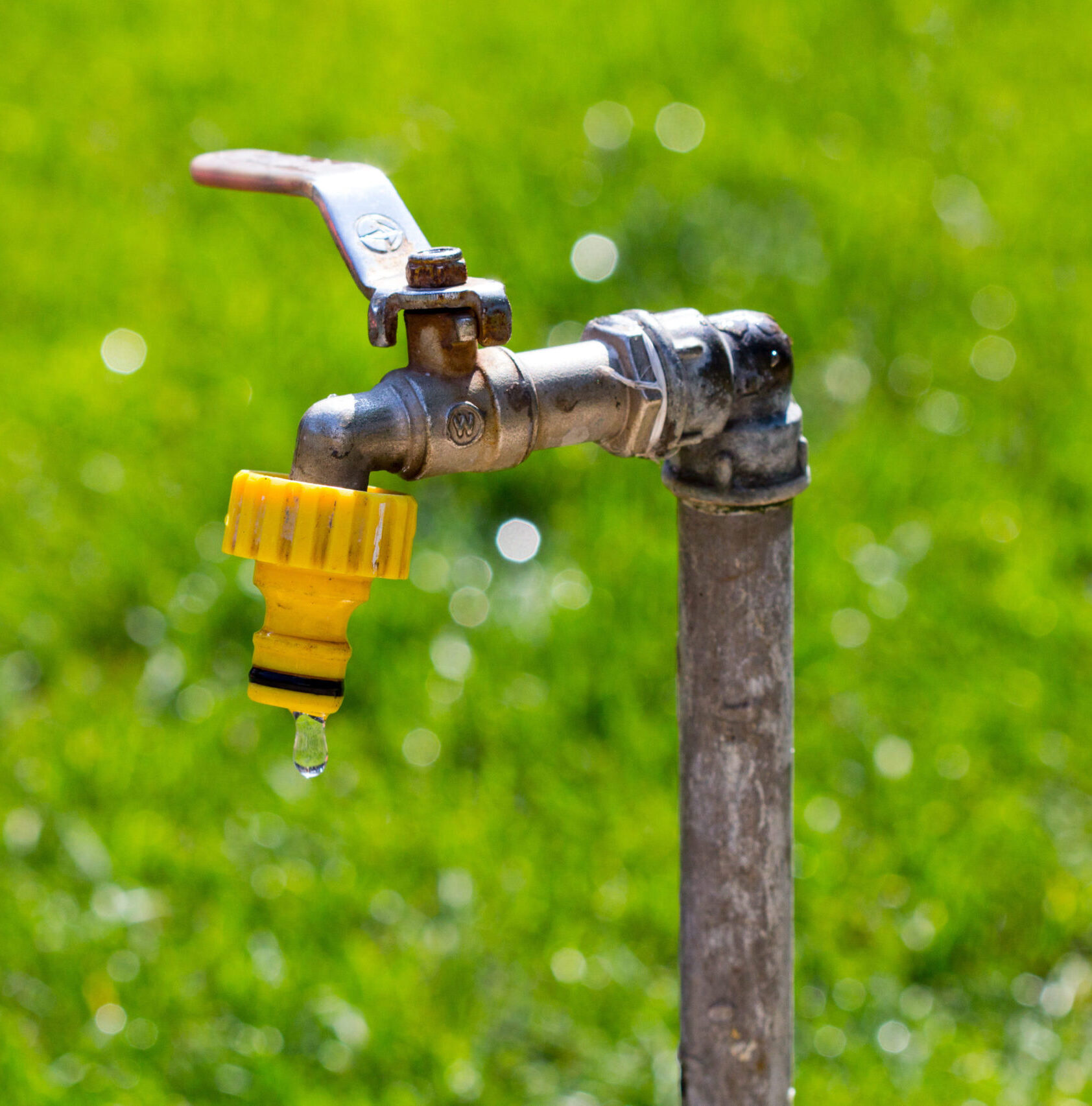Green Plumbing Techniques How NY Plumbers Can Save Water and Energy